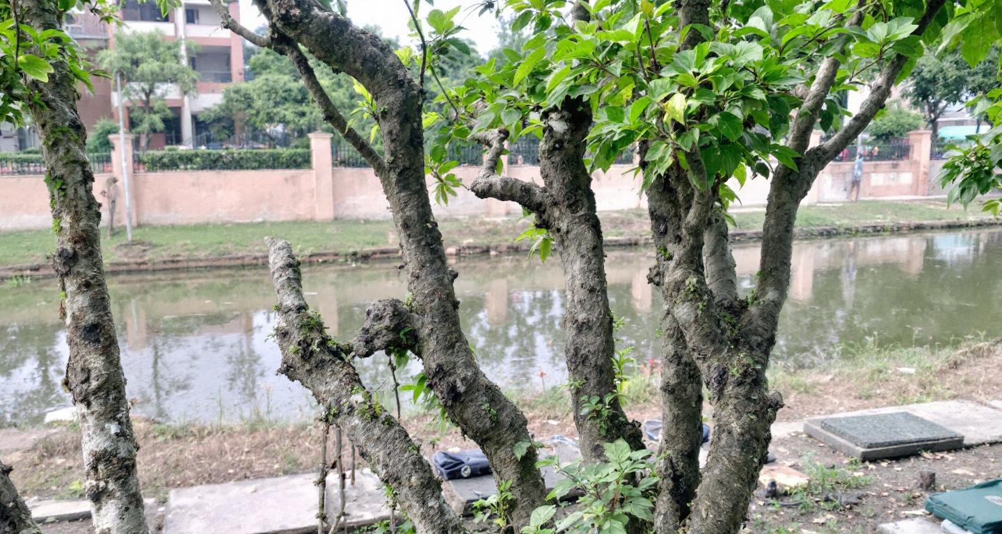 Professional pool technician testing water chemistry beside a clean residential swimming pool